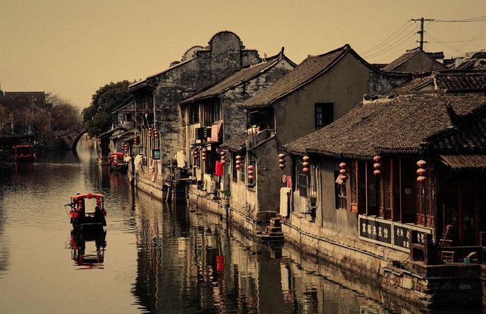 拯救枯树