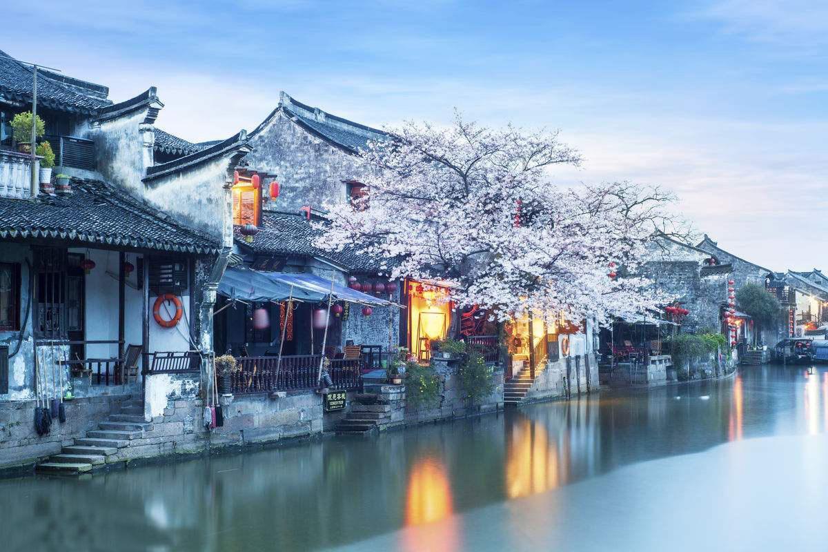 龙耀七载 共振四海| 傲雪棋品牌七周年庆典璀璨开启,荣耀绽放